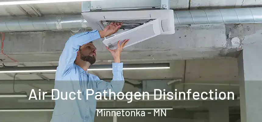  Air Duct Pathogen Disinfection Minnetonka - MN