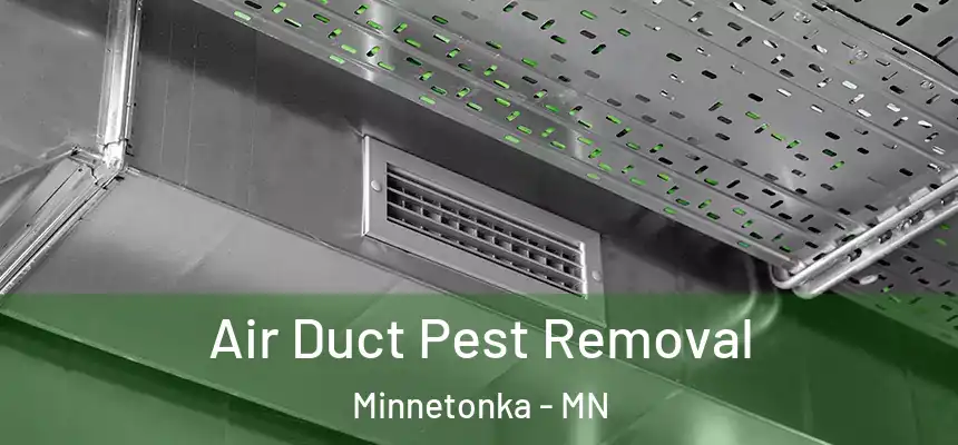  Air Duct Pest Removal Minnetonka - MN