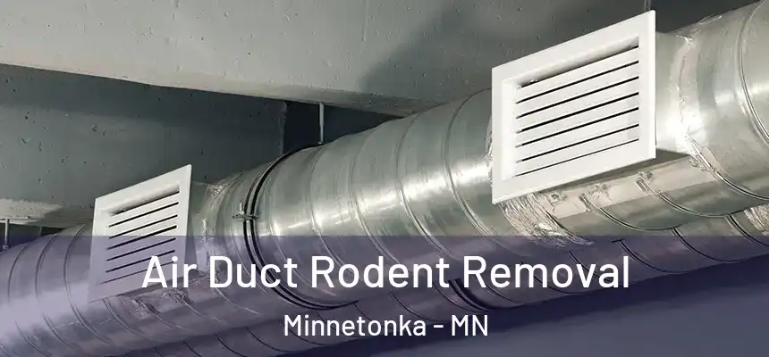 Air Duct Rodent Removal Minnetonka - MN