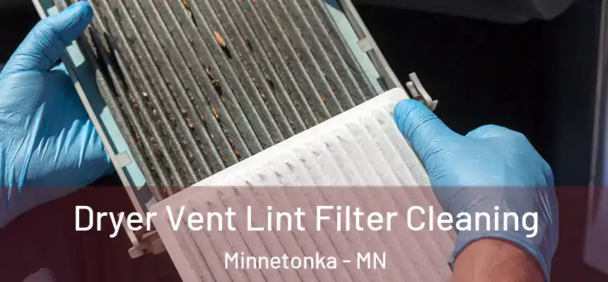 Dryer Vent Lint Filter Cleaning Minnetonka - MN