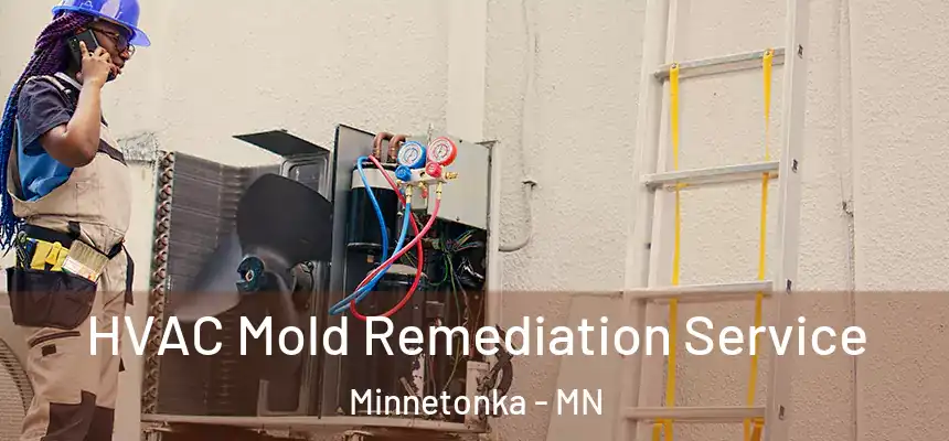  HVAC Mold Remediation Service Minnetonka - MN