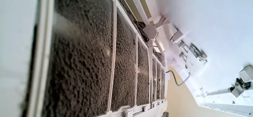 Preventive Air Duct Bacteria Removal in Minnetonka