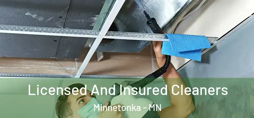 Licensed And Insured Cleaners Minnetonka - MN