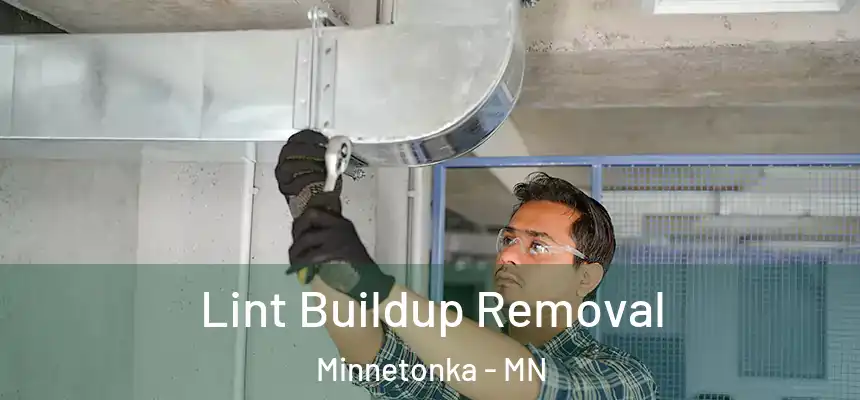 Lint Buildup Removal Minnetonka - MN