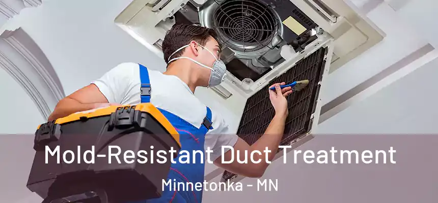  Mold-Resistant Duct Treatment Minnetonka - MN