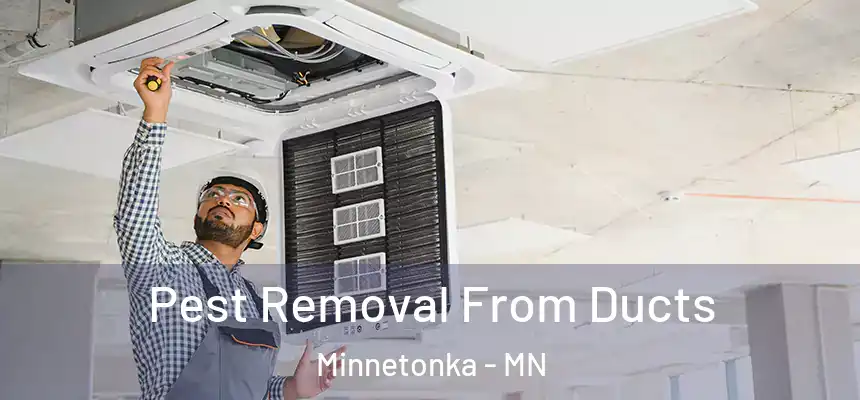 Pest Removal From Ducts Minnetonka - MN