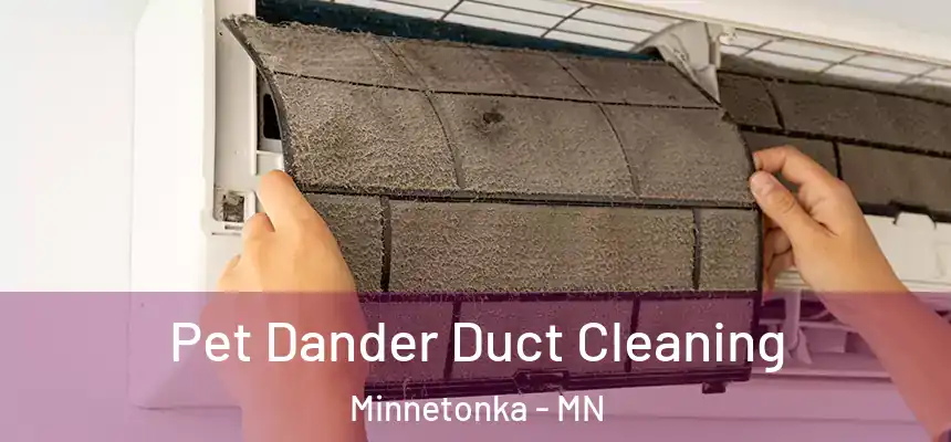 Pet Dander Duct Cleaning Minnetonka - MN