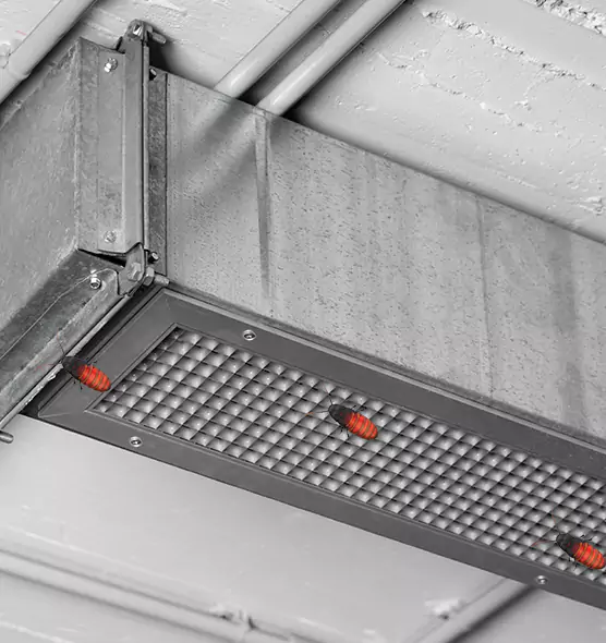 About Air Duct Cockroach Removal in Minnetonka, MN