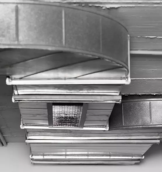 Professional Air Duct Pest Removal in Minnetonka, MN