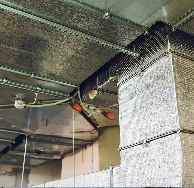 Why Homeowners & Businesses Trust Us in Minnetonka, MN?