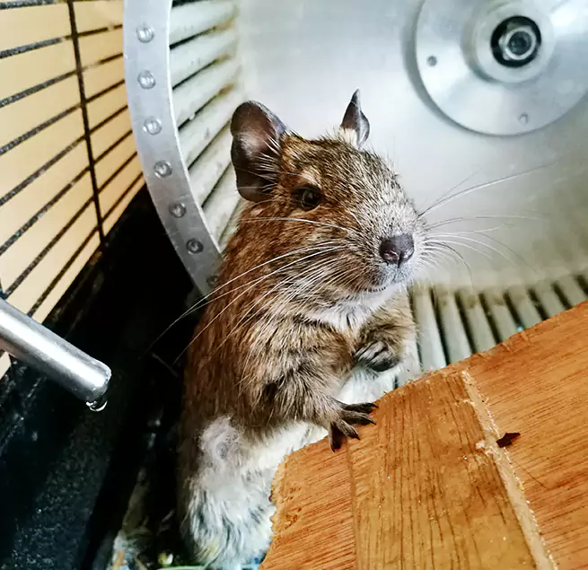 Why Homeowners & Businesses Trust Us Minnetonka, MN