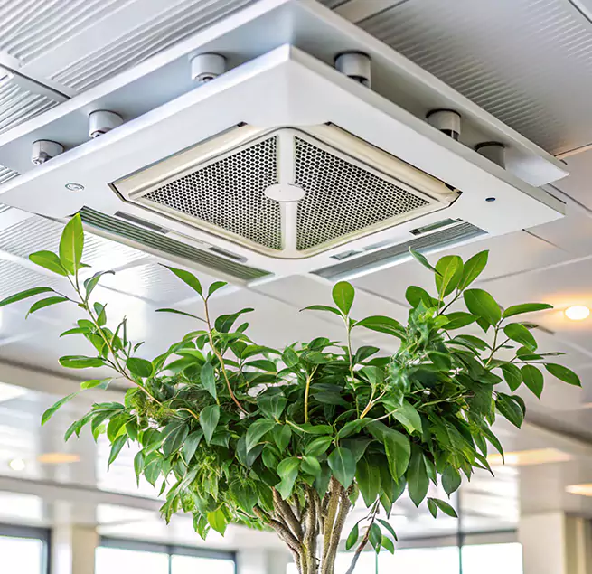 Why Homeowners & Businesses Trust Us in Minnetonka, MN?