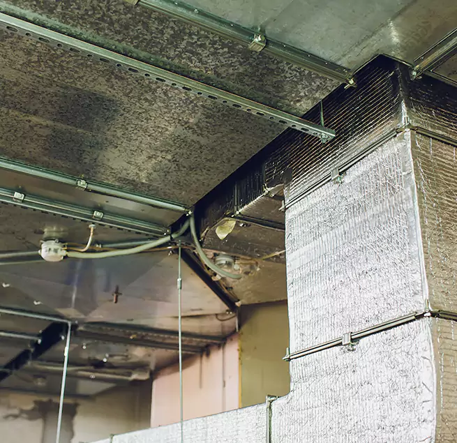 Why Homeowners & Businesses Trust Us in Minnetonka, MN?